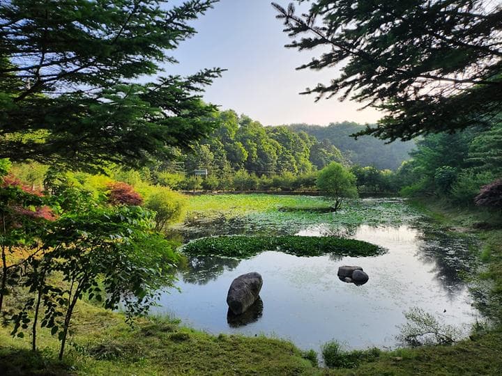 도모 횡성